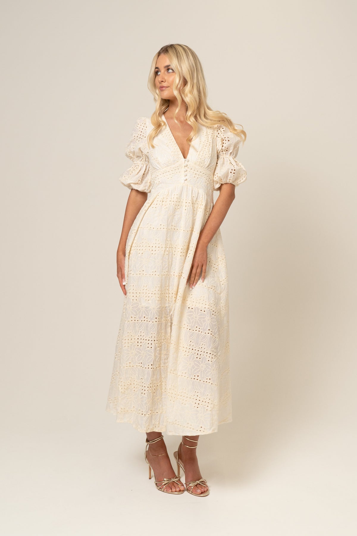 Alicia V-Neck Embroidery Maxi Dress