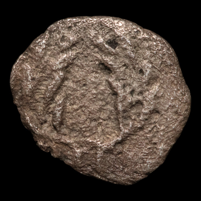 Aeolis, City of Elaea, AR Fractional Unit, Athena & Wreath - 460 to 400 BCE - Greek World