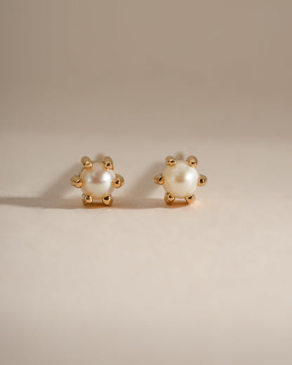 Dainty Pearl Stud Earrings
