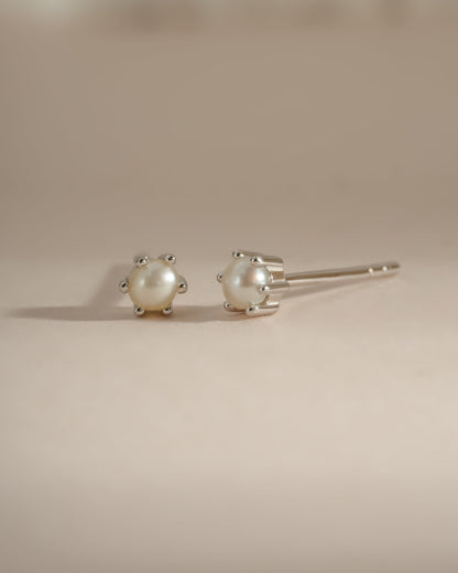 Dainty Pearl Stud Earrings