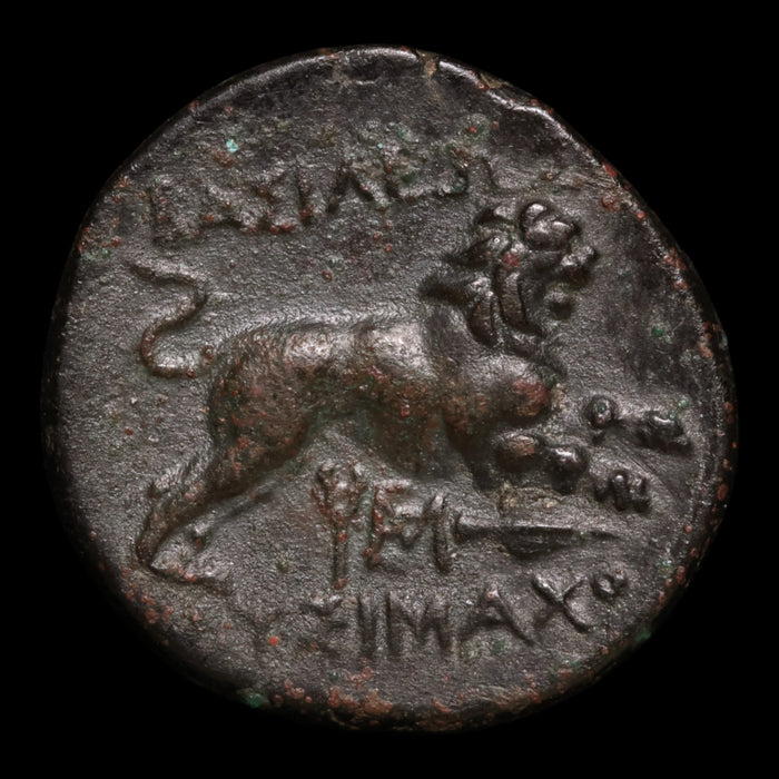 Kings of Thrace, Lysimachos (Sucessor of Alexander the Great), AE Unit, Athena & Lion - 305 to 281 BCE - Greek World