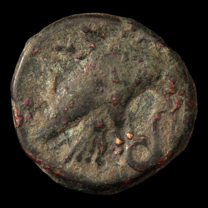 Macedon, King Amyntas III (Grandfather of Alexander the Great), Bronze Coin - 393 to 369 BCE - Greek World