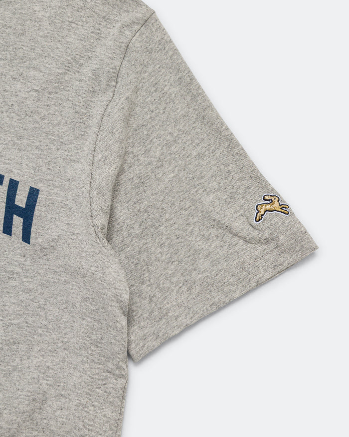 Mens Greyboy Tee - Grey/Navy