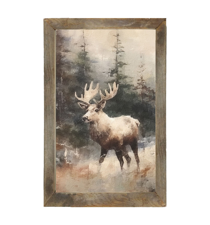Moose in Woods