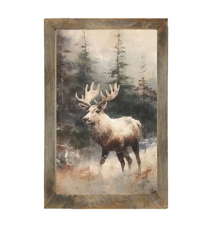 Moose in Woods