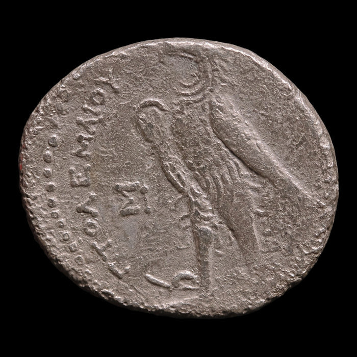 Ptolemaic Kingdom of Egypt, King Ptolemy II, AR Tetradrachm - 274 BCE - Ancient Egypt