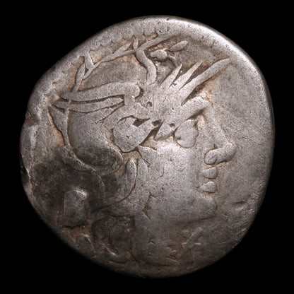 Roman Republic, M. Marcius, AR Denarius, Roma & Victory - 134 BCE - Roman Republic