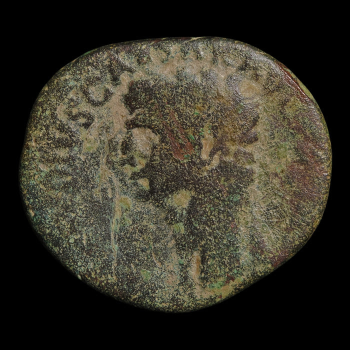 Rome, Emperor Claudius (Fourth Roman Emperor), AE As, Minerva (Goddess of Wisdom) - 50 to 54 CE - Roman Empire