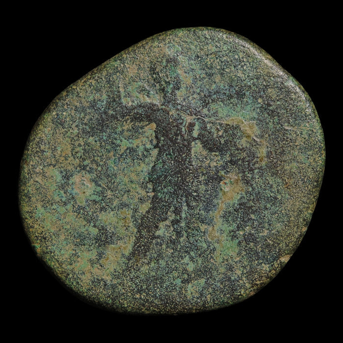 Rome, Emperor Claudius (Fourth Roman Emperor), AE As, Minerva (Goddess of Wisdom) - 50 to 54 CE - Roman Empire