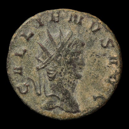 Rome, Emperor Gallienus, Antoninianus, Panther Reverse - 260 to 268 CE - Roman Empire