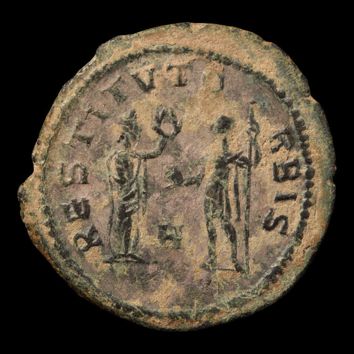 Rome, Emperor Probus, Antoninianus - 276 to 282 CE - Roman Empire