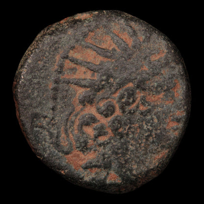 Seleucid Empire, King Antiochos VIII, Bronze Unit - 121 to 97 BCE - Greek World