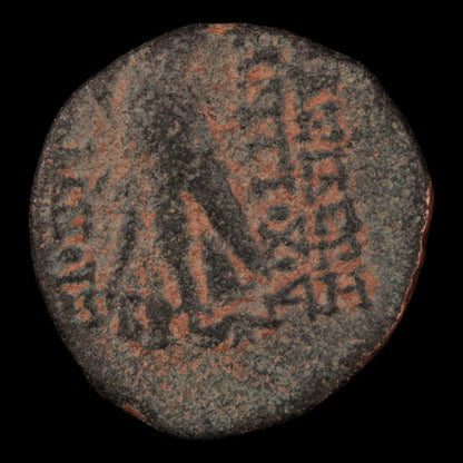 Seleucid Empire, King Antiochos VIII, Bronze Unit - 121 to 97 BCE - Greek World