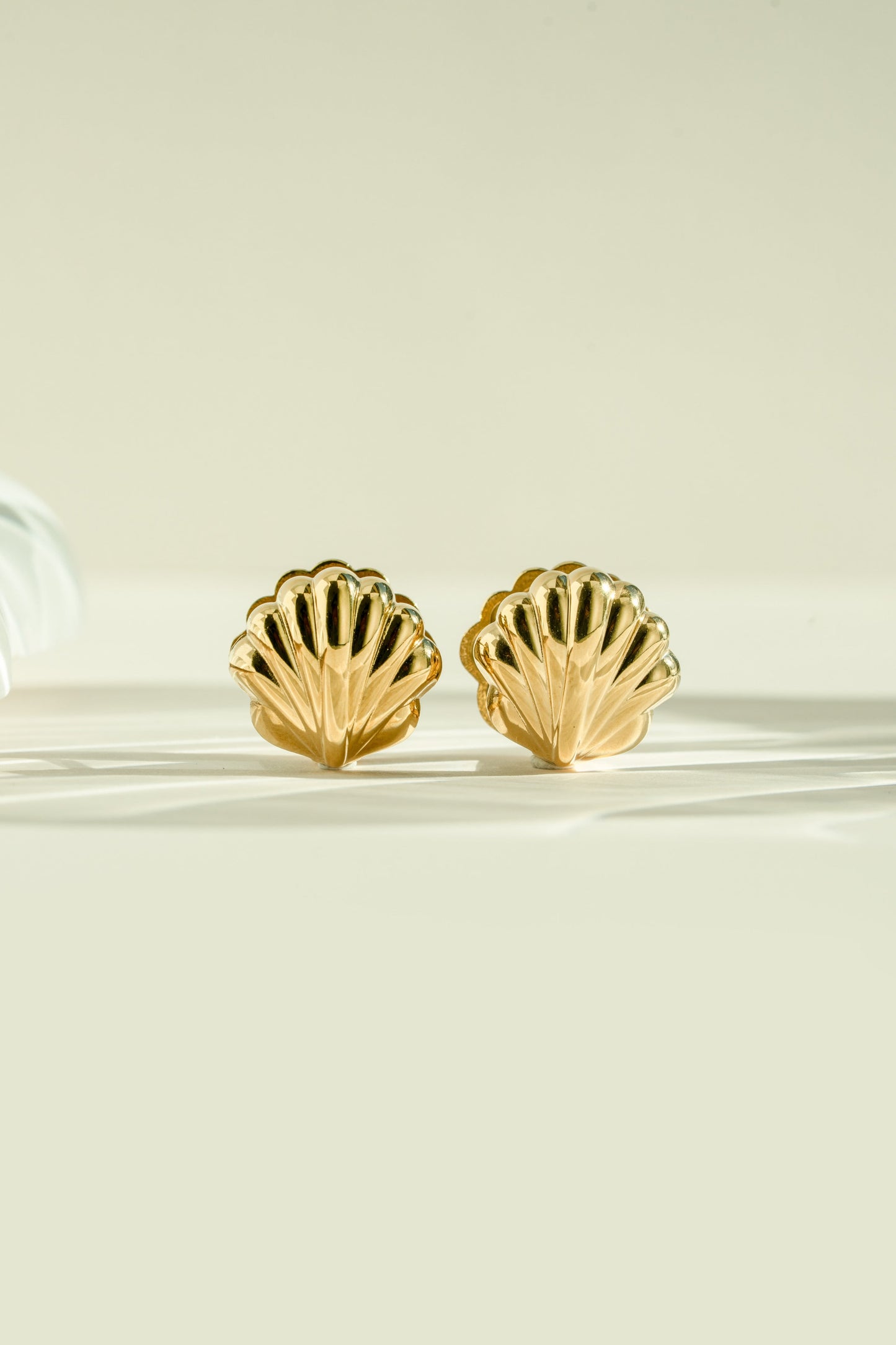 Seashell Earrings