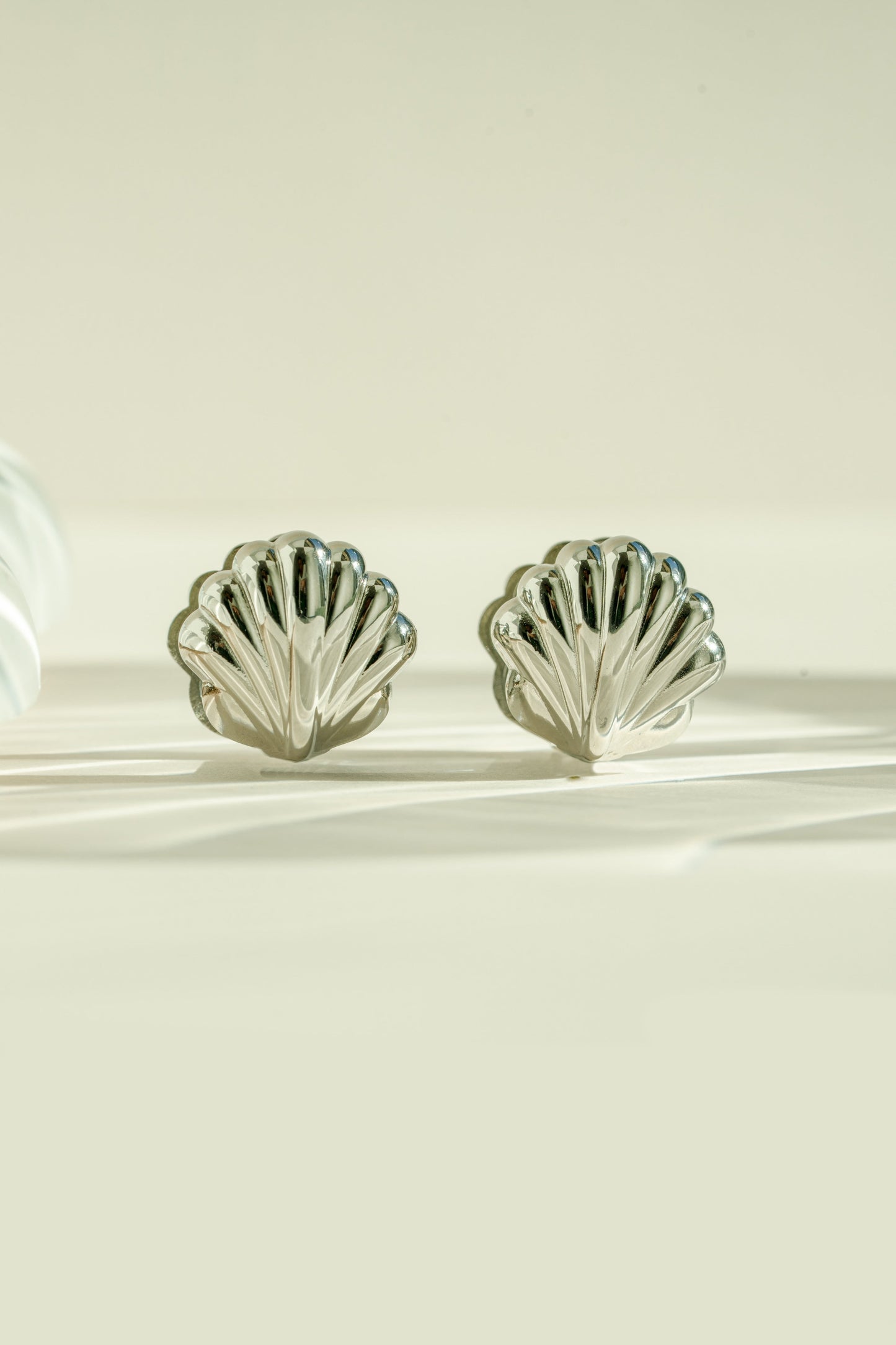 Seashell Earrings