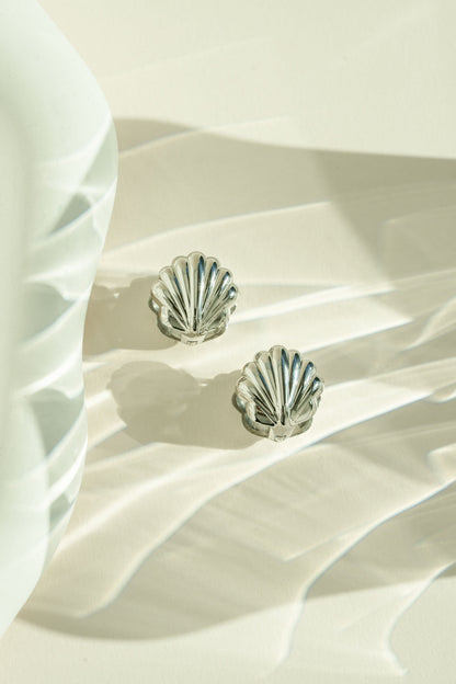 Seashell Earrings