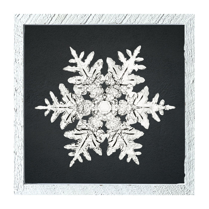 Snowflake-A