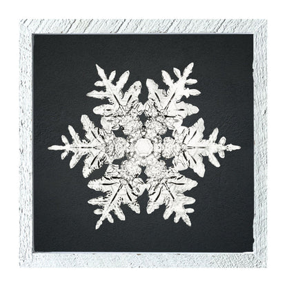 Snowflake-A