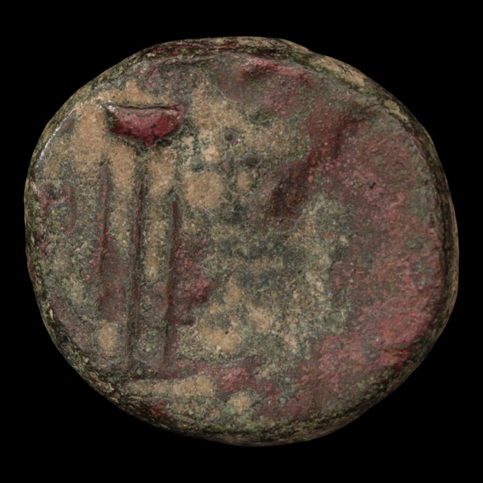 Syria, City of Antioch, Bronze Unit (Tyche) - c. 1 to 100 BCE - Greek World