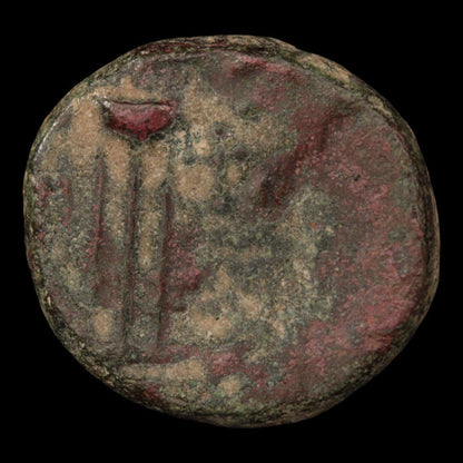Syria, City of Antioch, Bronze Unit (Tyche) - c. 1 to 100 BCE - Greek World