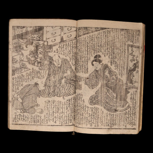 The Illustrated Legend of the Eight Dogs (Vol 5 & 6) - Meiji 3 (1870) - Meiji Japan