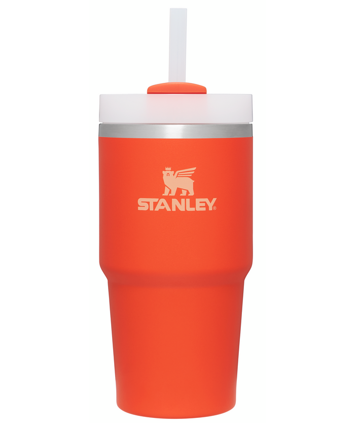 The Quencher H2.0 FlowState™ Tumbler | 20 OZ | 0.6 L