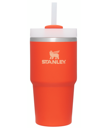 The Quencher H2.0 FlowState™ Tumbler | 20 OZ | 0.6 L