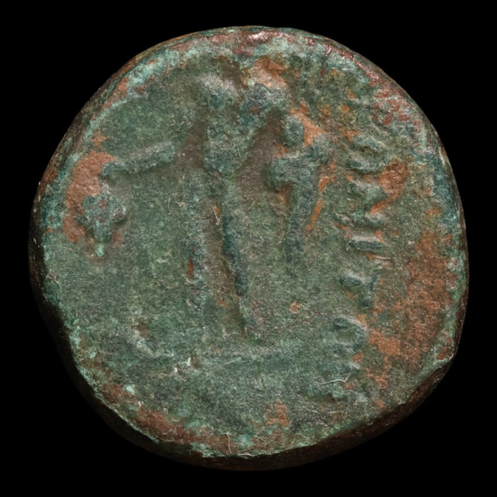Thrace, City of Maroneia, AE Unit, Dionysus (Greek God of Wine) - c. 200 to 100 BCE - Ancient Greece