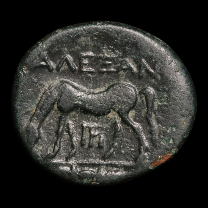 Troas, City of Alexandria, AE Unit, Apollo (Major Greek God) - 261 to 246 BCE - Greek World