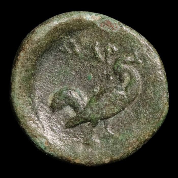 Troas, City of Dardanos, AE Unit - c. 350 BCE - Greek World