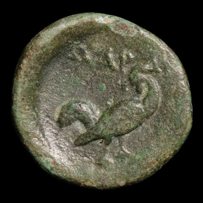 Troas, City of Dardanos, AE Unit - c. 350 BCE - Greek World